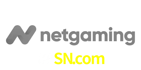 NetGaming